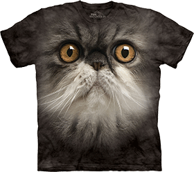 �������� The Mountain - Furry Face - 2012
